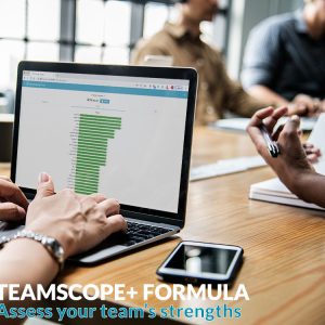 teamscope strengths tool digital