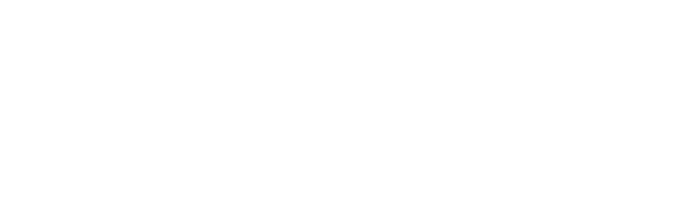 Logo positran