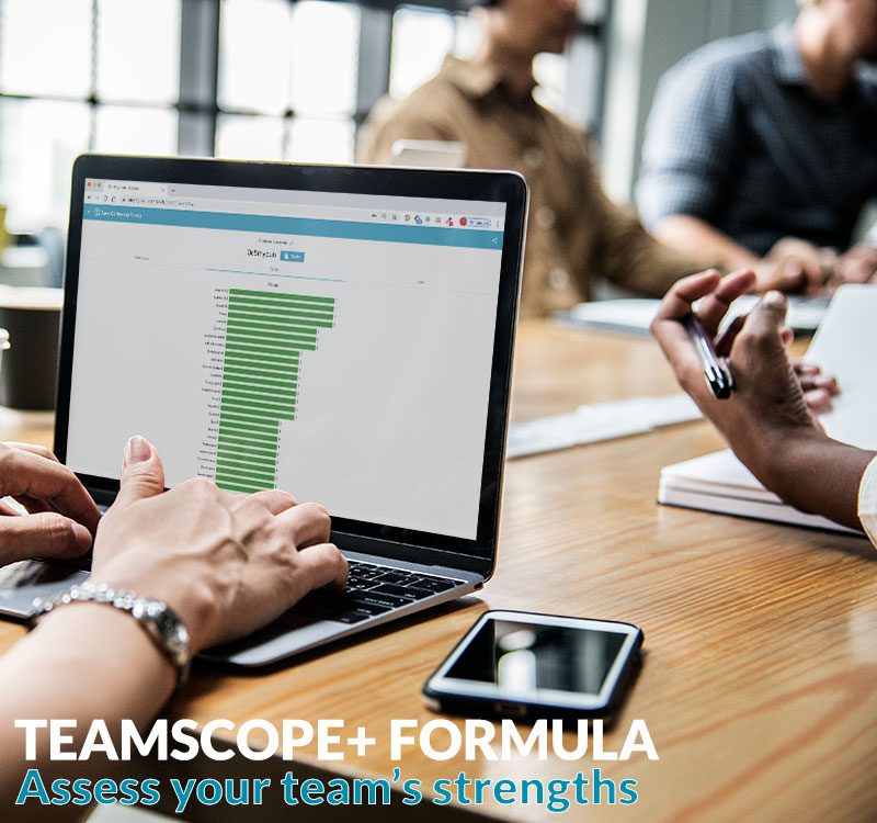 teamscope strengths tool digital