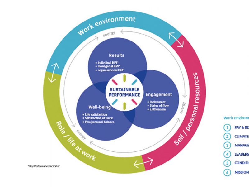 positive organisational profile