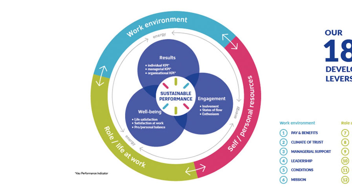 positive organisational profile
