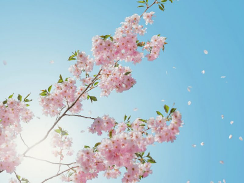 eudaimonia