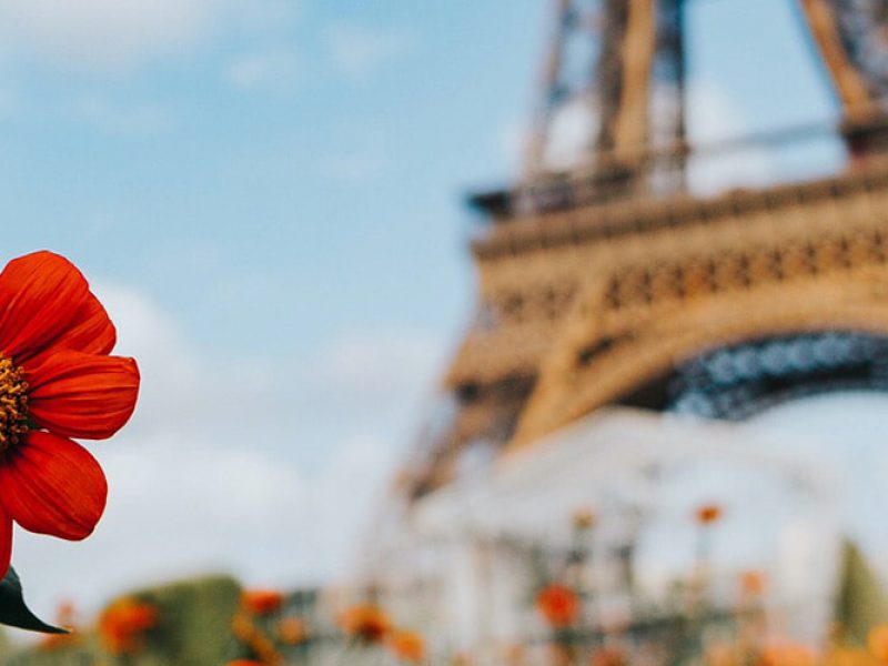 french unhappiness paradox