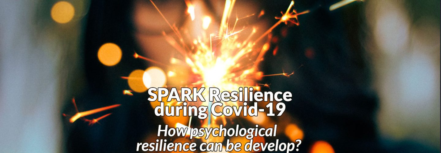 SPARK Resilience study