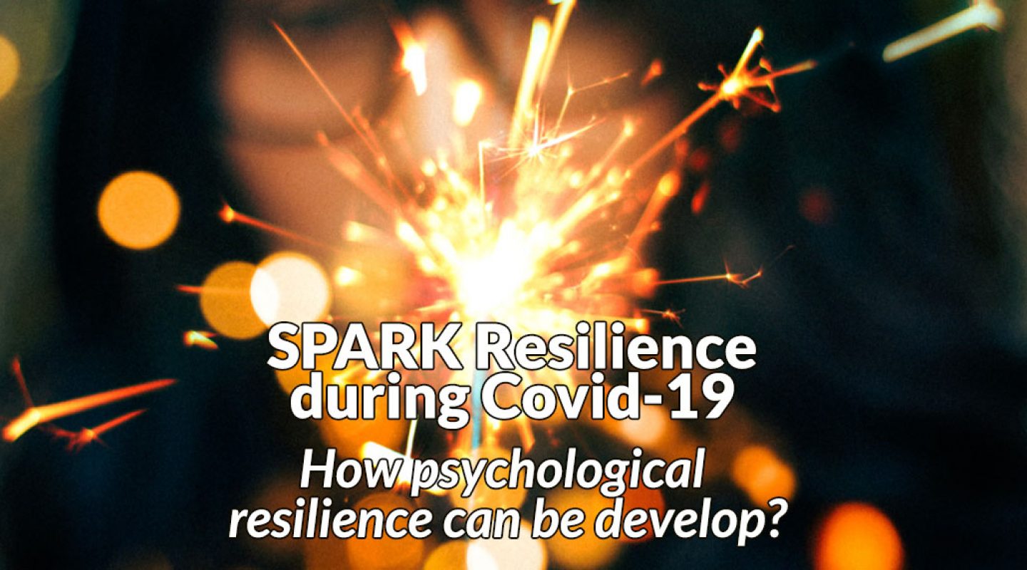 SPARK Resilience study