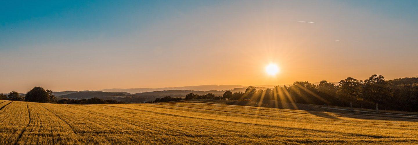 sunshine for happiness?