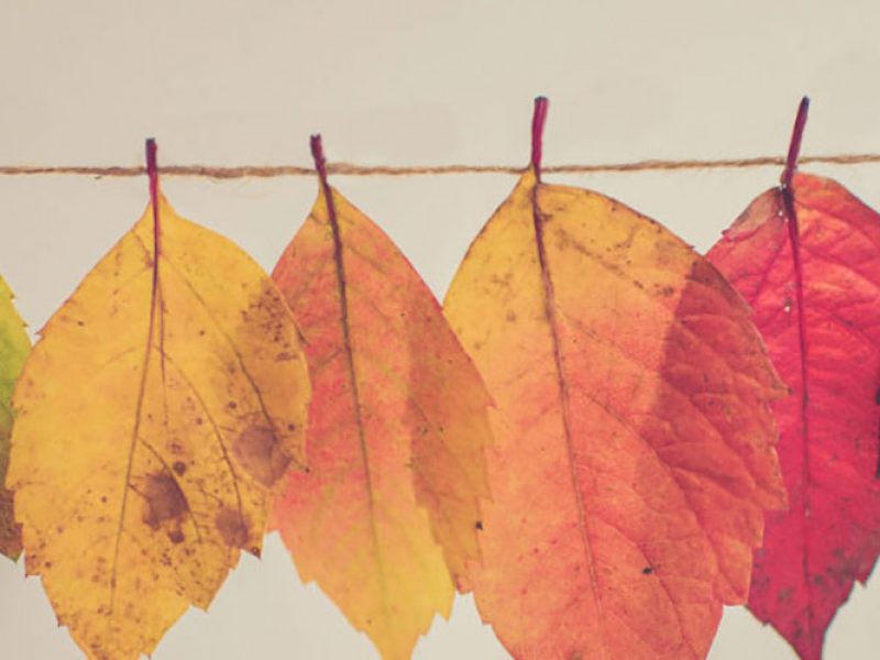 what is positive psychology
